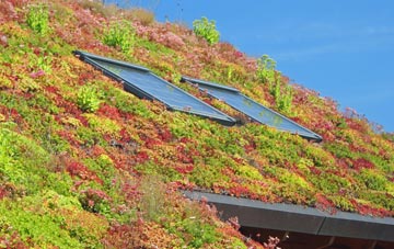 Madehurst living roof systems